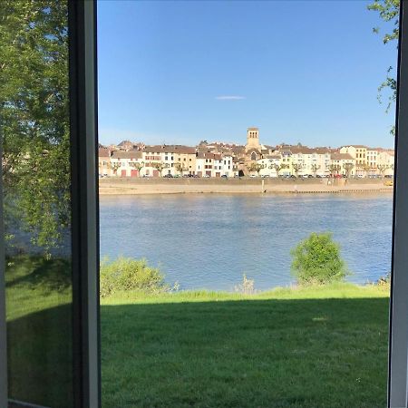ホテル Domaine Des Jardins De La Saone トゥールニュ エクステリア 写真